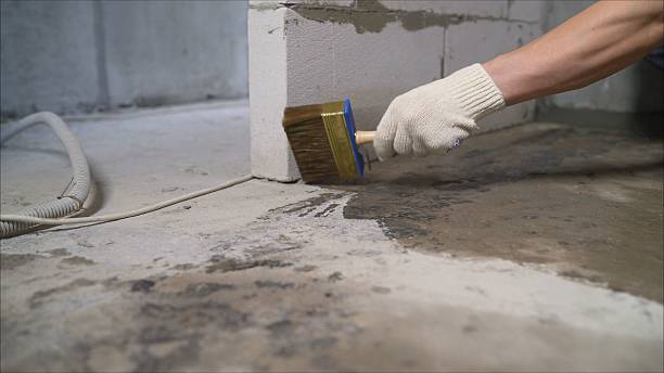 Top rated local Waterproofing specialists in Rushsylvania, OH